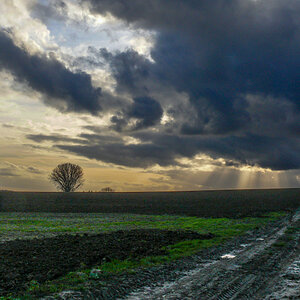 Rheinhessen im Herbst
