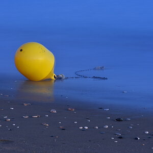 DSI_4665_1_nff.JPG