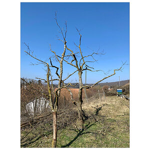 JuraIMG_3583.jpg