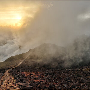 Madeira