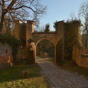 DSC_8823_00001 (2)n.jpg