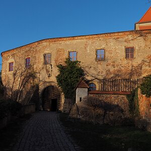 P3122321n.JPG