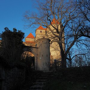 P3122330n.JPG