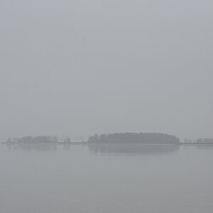 DSC_9560.JPG