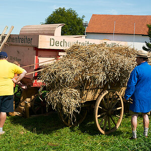 20110911_131340_DSC_6407.jpg
