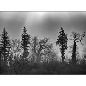 JuraDSC_6317.jpg