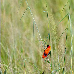 D50_4759.jpg