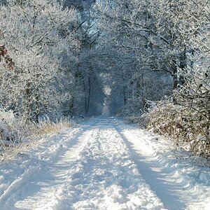 Winterweg am Heidesee.jpg