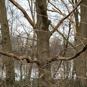 20220315-D50_4098-Bearbeitet.jpg