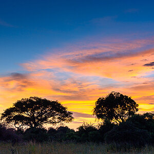 D75_8718-HDR.jpg