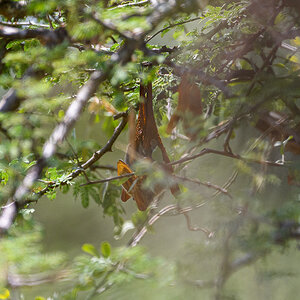 D50_5282.jpg