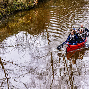 _D719335-_467#.JPG