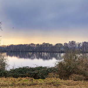 _D719327-_465#.JPG