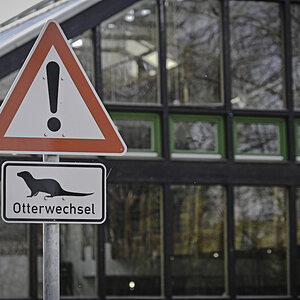 Otterwechsel.jpg