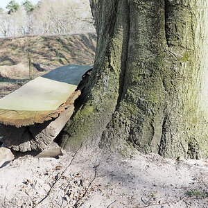 Buchenbank 1.jpg