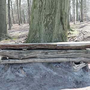 Buchenbank 2.jpg