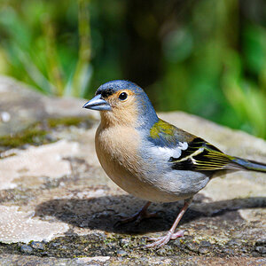 20100510-DSC_0551.jpg