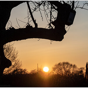 086 Gelassenheit und Trost – Sonnenuntergang