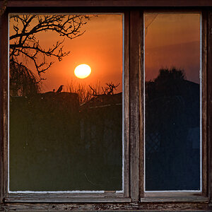 OF2_55412.jpg