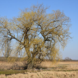 DSC_1238.JPG