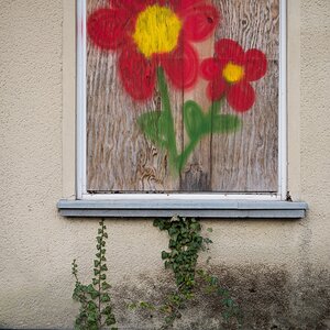 Efeublume