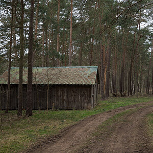 Maschinenschuppen im Wald (1 von 1).jpg