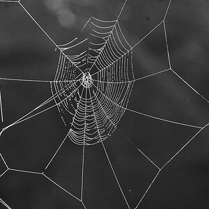 DSC_9331.jpeg