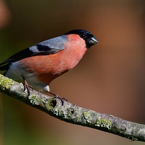 compDSC_5357 (1).jpg