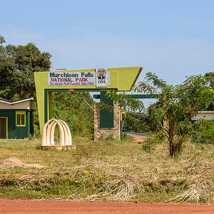 D75_8892.jpg