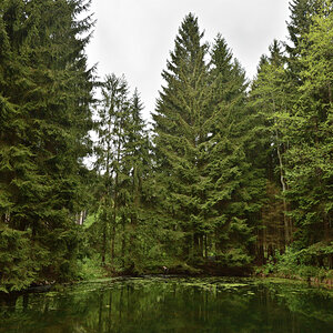 DSC_6566.JPG