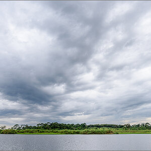 D75_9100.jpg