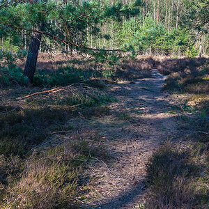 Heideweg (1 von 1).jpg