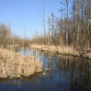 DSC_1216.JPG