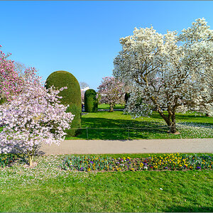 DZ7_3600.jpg