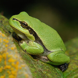 DSC 5157aa