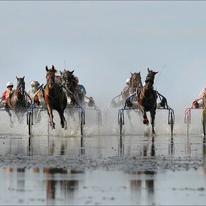 comp DuhnerWattrennen 2106