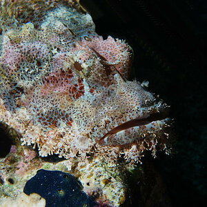 DSC 5938a