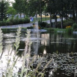 Teich an der Therme Köflach.