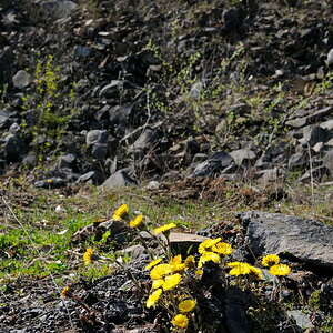 basalt02