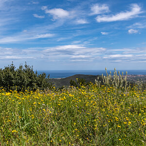 2022 Sardinien NF-F-4.jpg