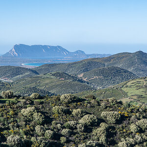 2022 Sardinien NF-F-9.jpg