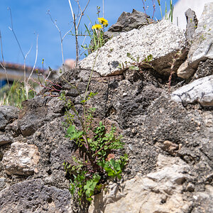 2022 Sardinien NF-F-42.jpg