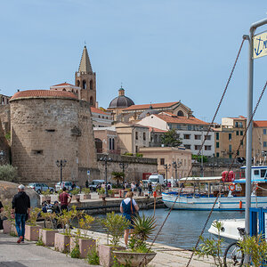 2022 Sardinien NF-F-88.jpg
