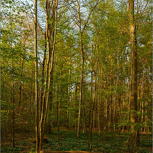 DZ7_3901.jpg