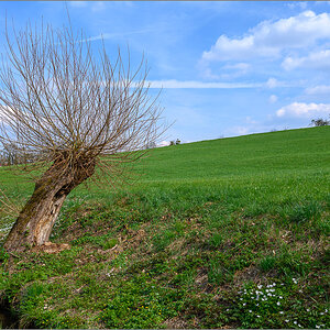 DZ7_3883.jpg