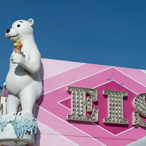 20220411-D50_7339.jpg
