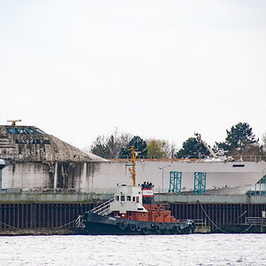 20220414-DSC_6238.jpg