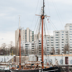 20220414-DSC_6255.jpg