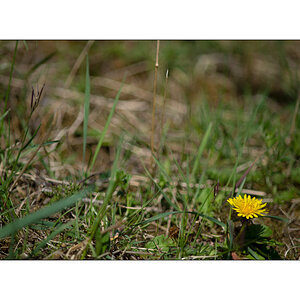 JuraDSC_6560.jpg