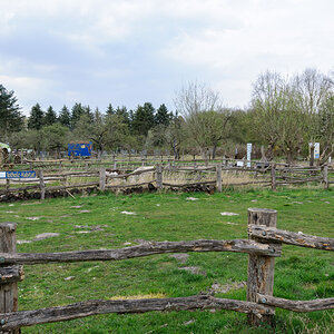 20220413-DSC_6205.jpg